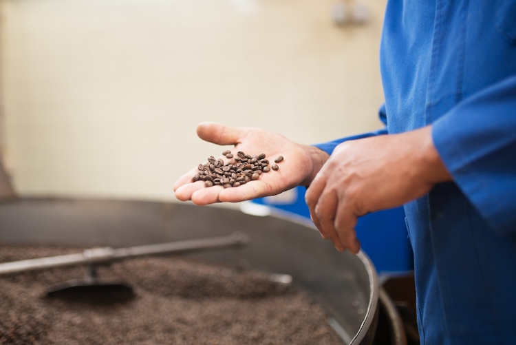 cómo se produce el café el tostado