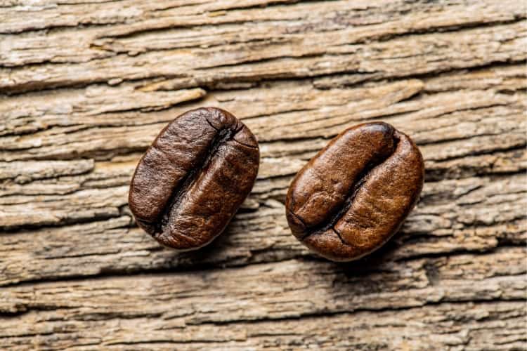 cafe arabica y robusta diferencias