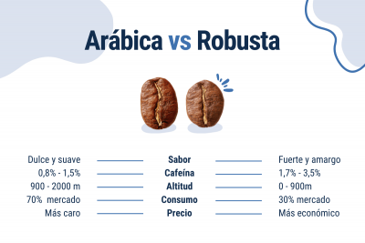 Café Arábica vs Robusta: ¿Qué debes saber antes de tomar una taza?