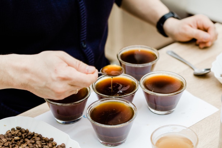que es un café de especialidad