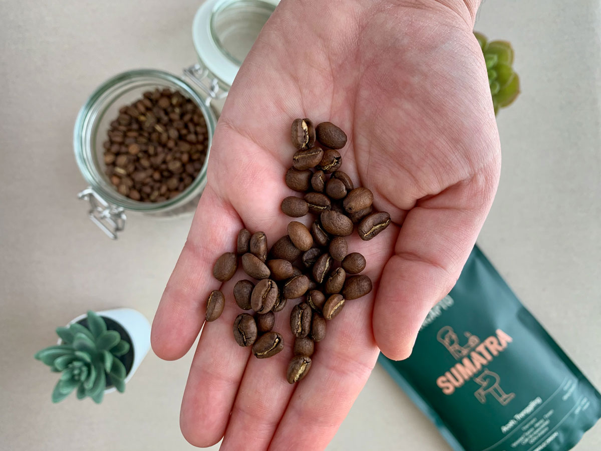 Primer plano de la mano de Verónica mostrando los granos de café de Incapto