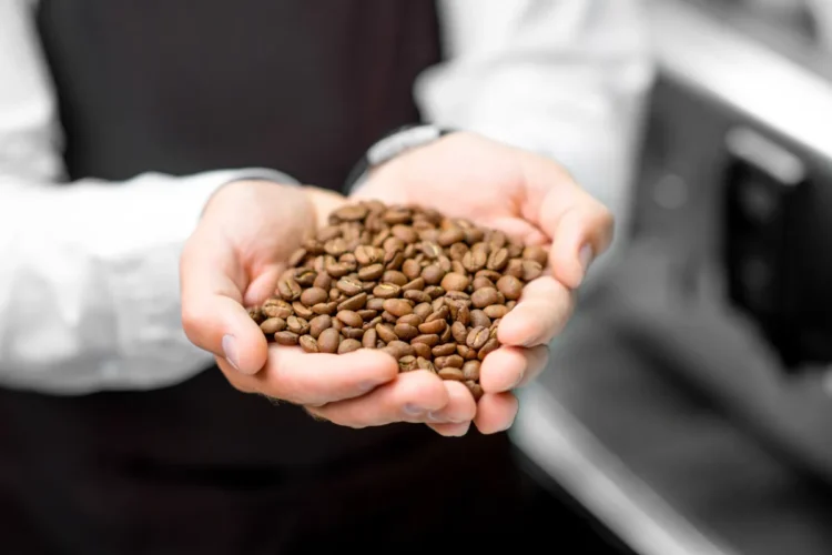 tipos de granos de café